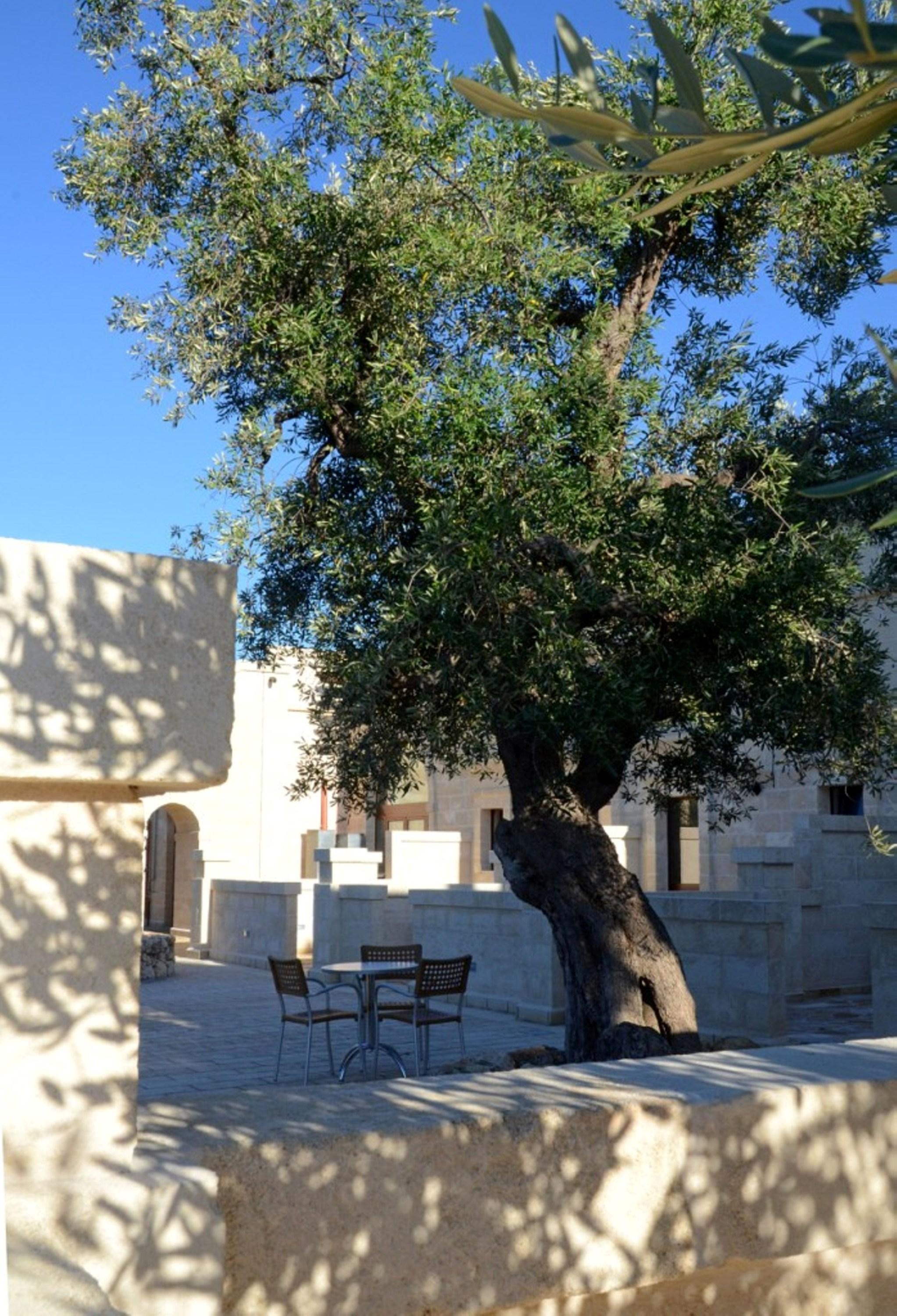 Agriturismo Masseria San Leonardo Savelletri Ngoại thất bức ảnh
