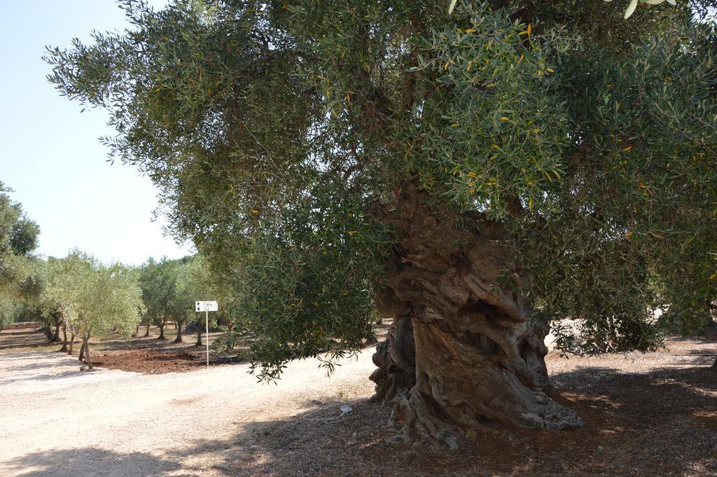 Agriturismo Masseria San Leonardo Savelletri Ngoại thất bức ảnh