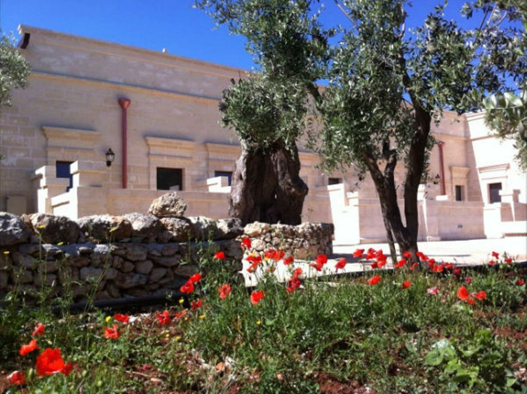 Agriturismo Masseria San Leonardo Savelletri Ngoại thất bức ảnh