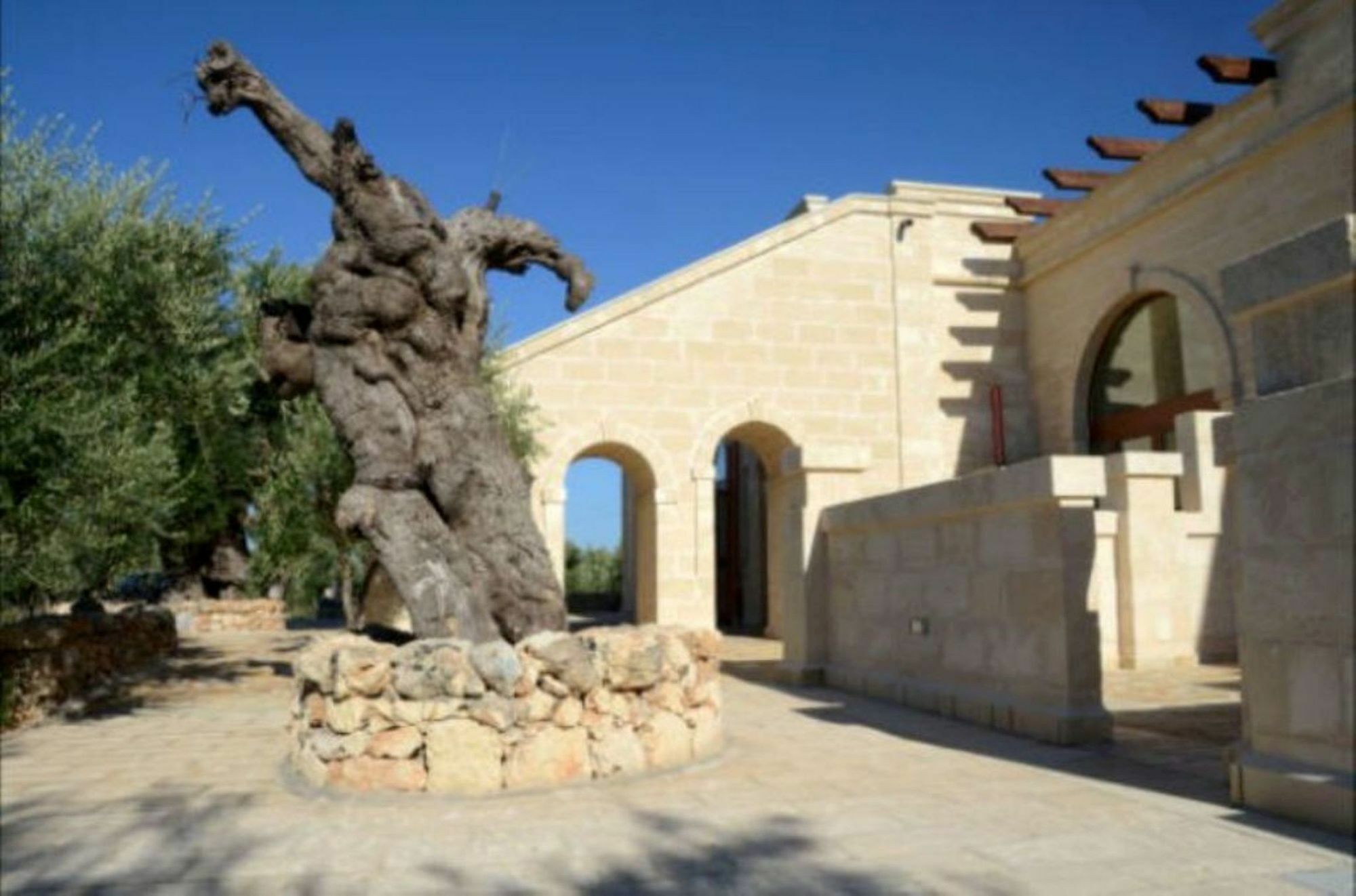 Agriturismo Masseria San Leonardo Savelletri Ngoại thất bức ảnh